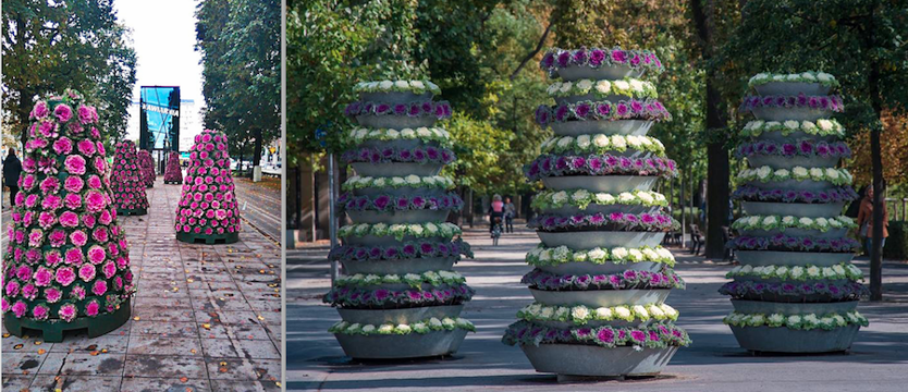 Szczecin inspiruje Wrocław