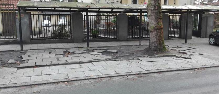 Bałagan przed sądem