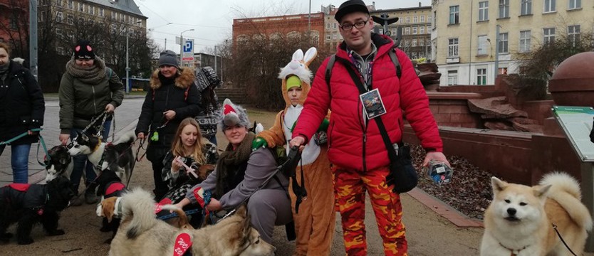 Merdająca kwesta