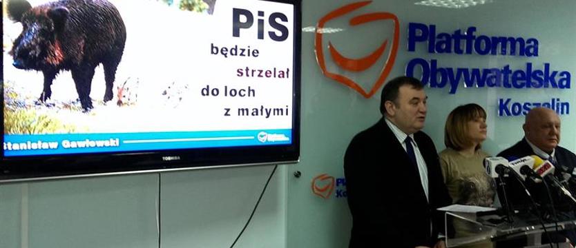 Gawłowski: Odstrzał dzików okrutny i interesowny
