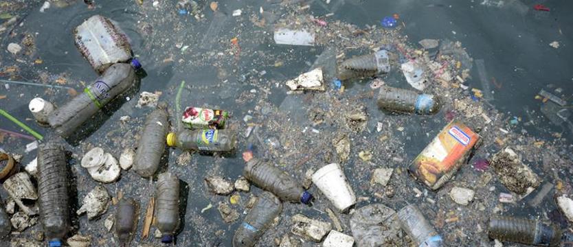 Młodzi walczą z plastikiem