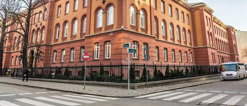 Insekty w sądzie