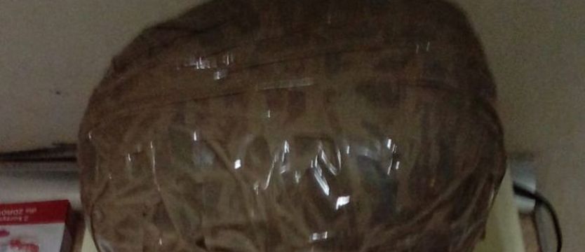 Niósł w reklamówce ponad 1,5 kg amfetaminy