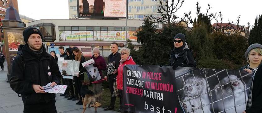 BASTA! apeluje. Szczecin bez futra!