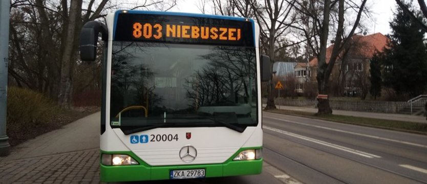Od poniedziałku Las Arkoński bez tramwajów