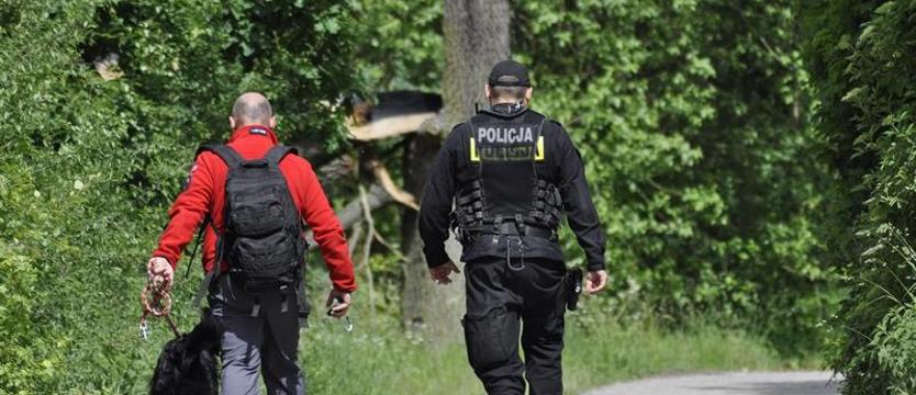 Z psami na ratunek