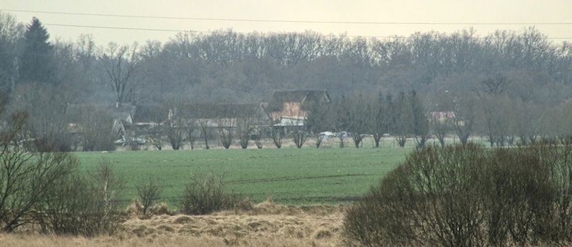 Zwolnienie z pracy za krytykę kurzej fermy?