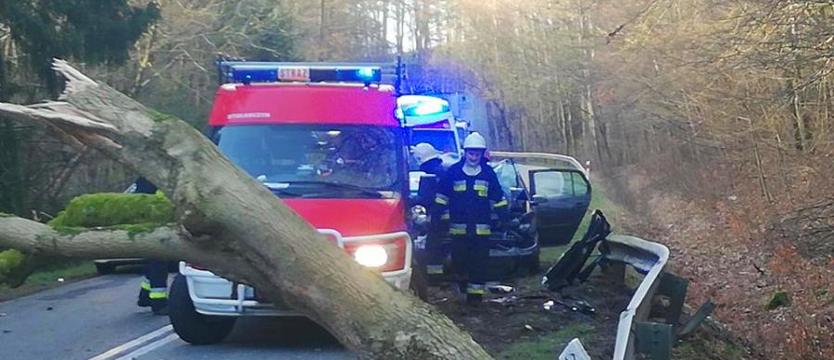 Od piątku ponad 2 tysiące interwencji w związku z silnym wiatrem