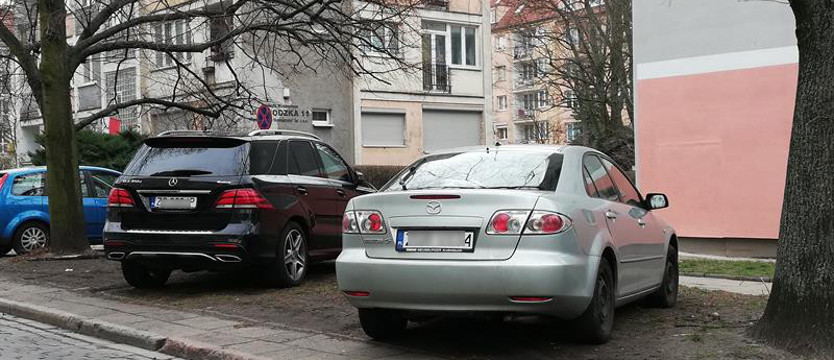 Zielone parkowanie