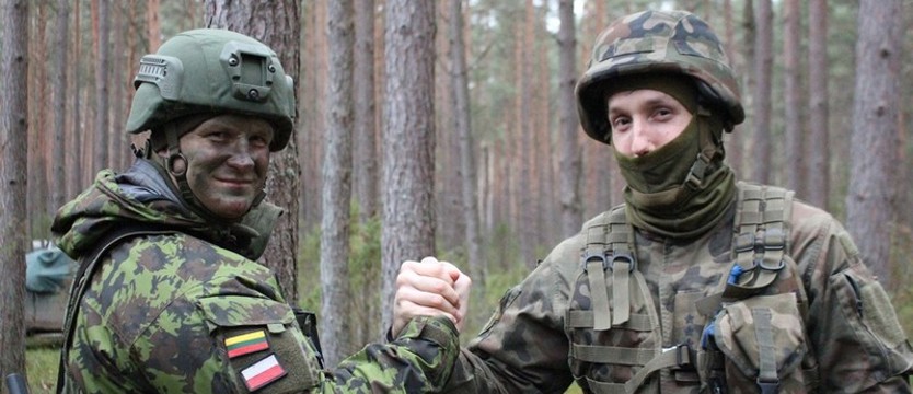 „Błękitna” Brygada w NATO. Rocznicowe podsumowanie