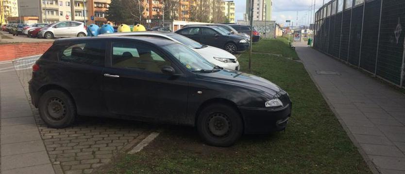 Nie szanujemy zieleni?
