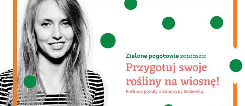 Rusza „Zielone pogotowie”