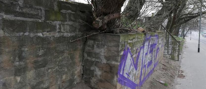Przebudowa stadionu Pogoni. Czy mur oporowy wytrzyma?