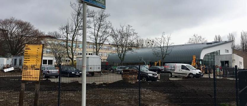 Pamiętając o zieleni