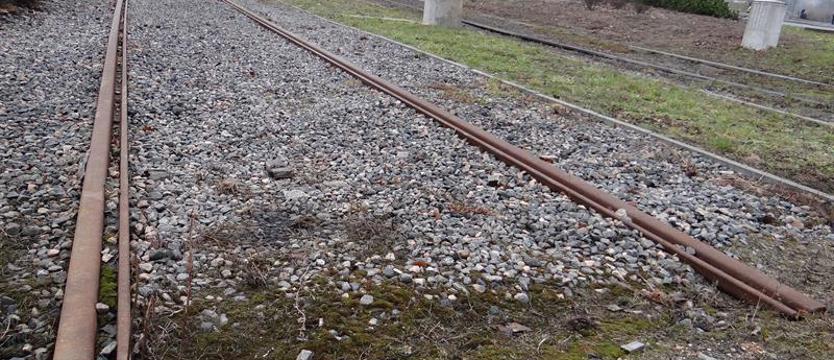 Gumieńce chcą tramwaju!