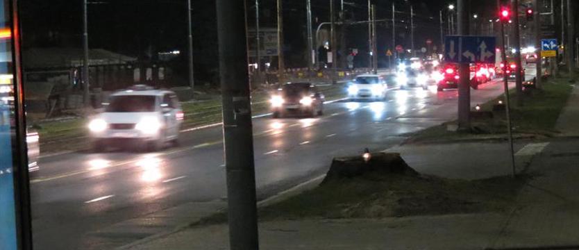 Znicze znów płoną na karpach ściętych dębów w al. Wojska Polskiego