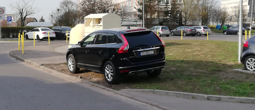 Volvo na trawniku