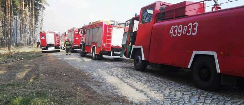 Pożar lasu i torfowiska pod Stargardem