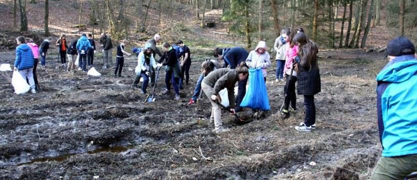 Olchy i dęby – młodzi dla Szczecina