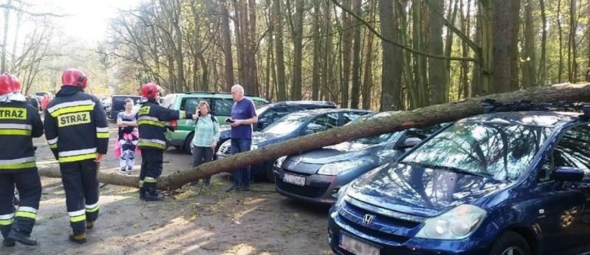 Drzewo przygniotło trzy auta