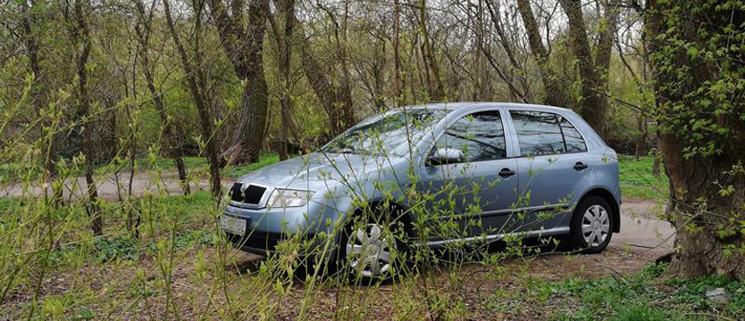 Skoda w szkodzie