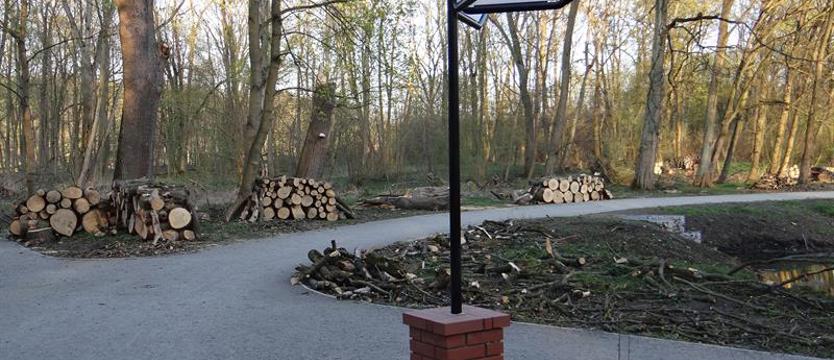 Jak cięcie, to tylko porządkowe