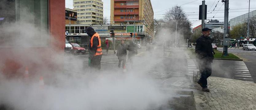 Chodnikowe wiosenne porządki