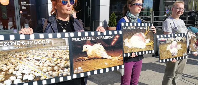 Obraz cierpienia – klatka po klatce