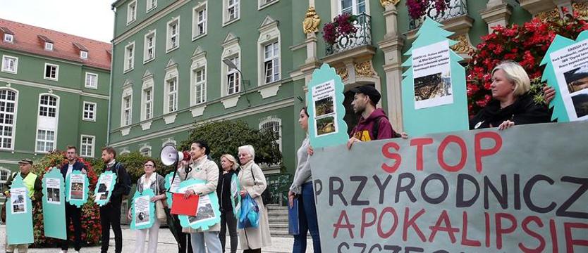 Jak nie ty, to kto?