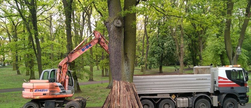 Park Żeromskiego (od)nowa