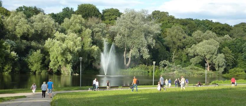 Szczecin nie taki zielony. Inne miasta biją nas na głowę