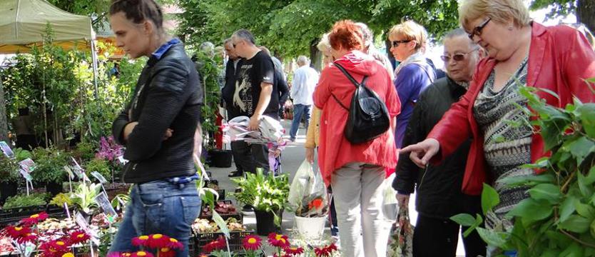 Zielony zawrót głowy. W ten weekend „Pamiętajcie o ogrodach"