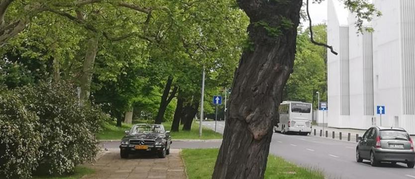 Fantazja, latarnia i bum