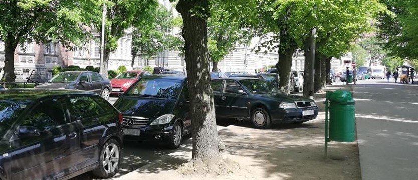 W Szczecinie z autem rób, co chcesz