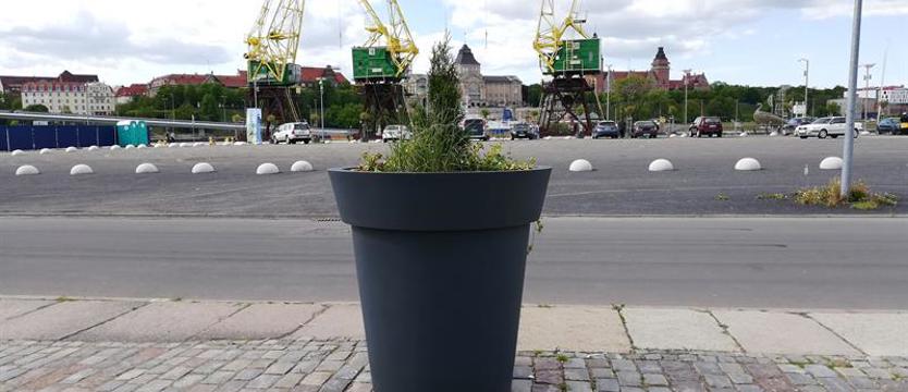 Żeby nas śmieci nie zalały