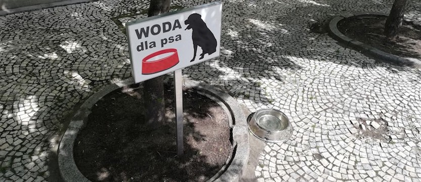 Woda przygotowana dla czworonogów
