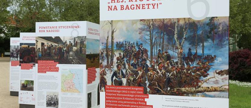 Polski gen wolności