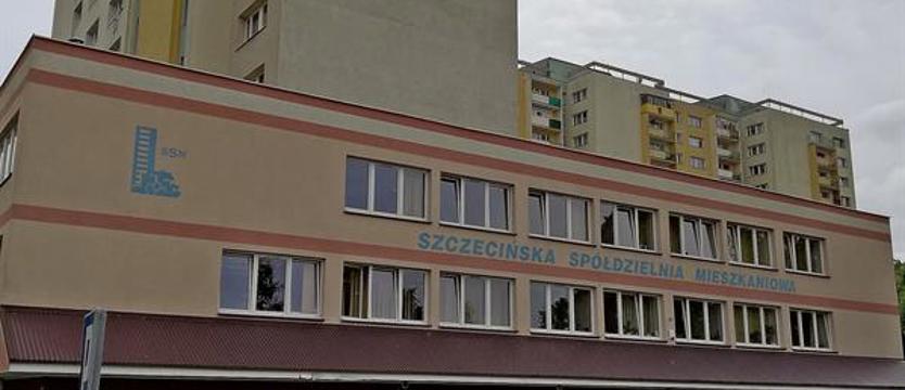 Z rady nadzorczej do rady osiedla i odwrotnie, czyli „krasnoludki” rozdadzą karty?