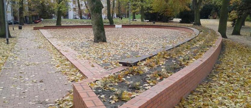 Miejsce dla targu różności