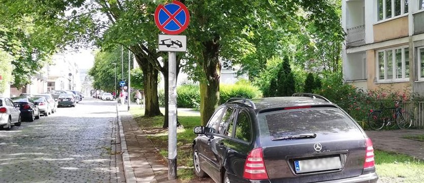 Stoi... na trawie