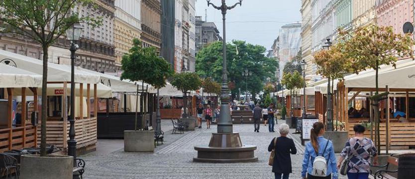 Jak zazielenić szare śródmieście? Projekt „wędrujących” drzew
