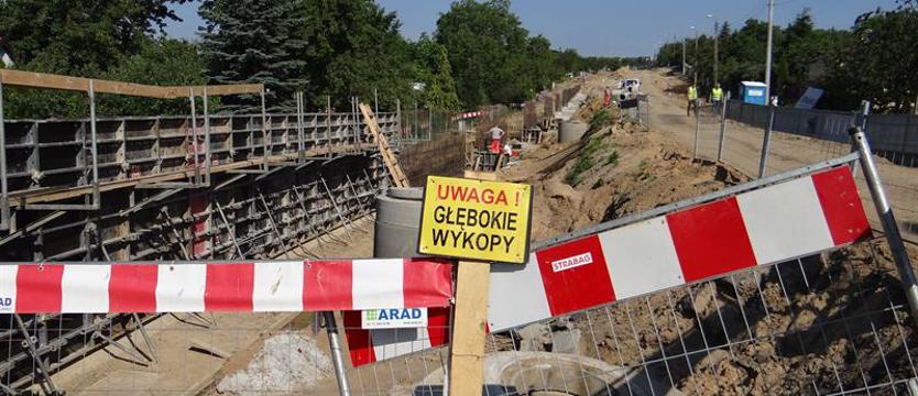 Hoża w przebudowie