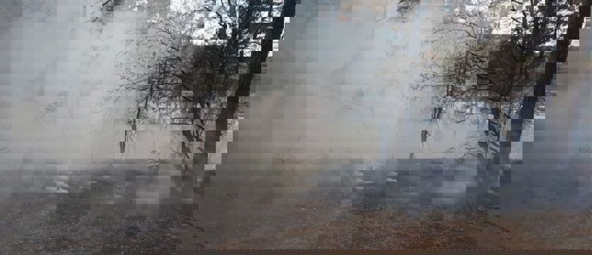 Jedna iskra i las płonie