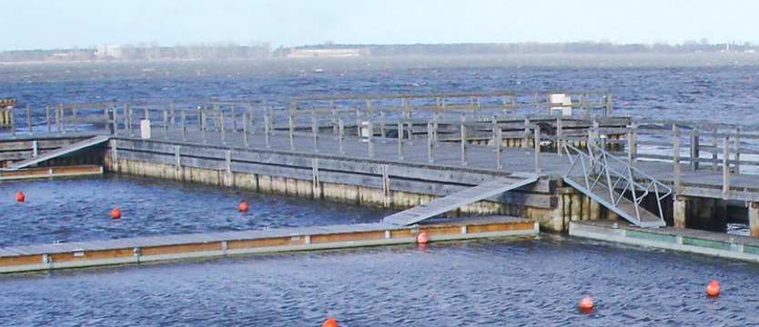 Kontrola w oczyszczalni ścieków po znalezieniu śniętych ryb w jez. Jamno