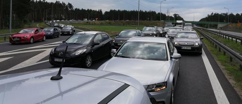W żółwim tempie nad morze