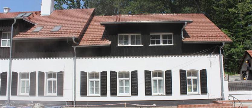 Młodzież i wolontariat w schroniskach