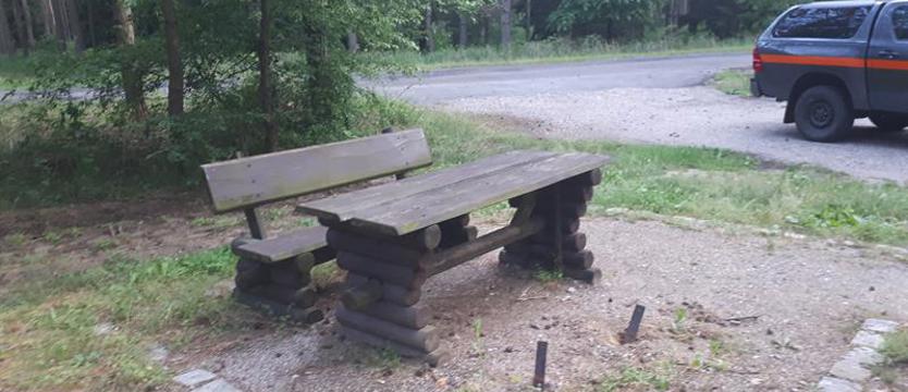 Złodzieje coraz zuchwalsi. Kradną ławki z lasu