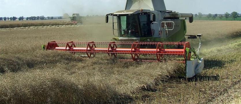 Afrykańskie lato pogrąża rolników