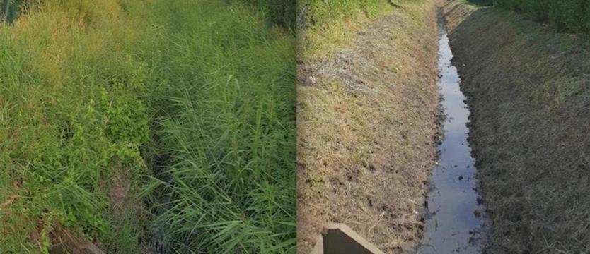 Porządki na wałach i skarpach