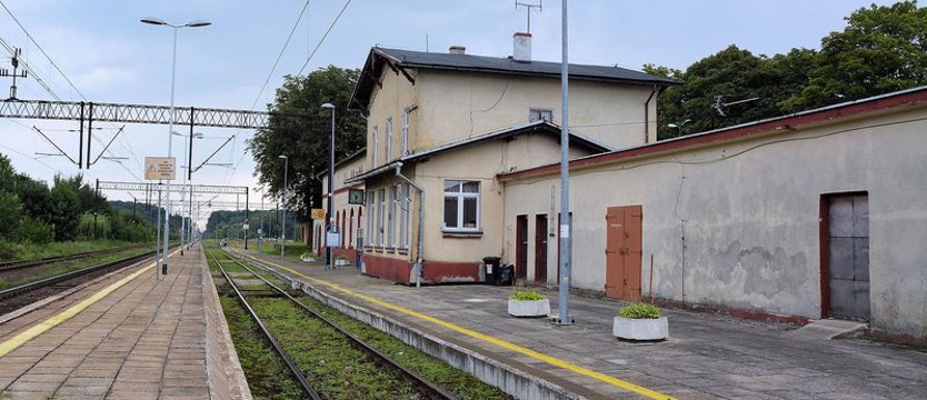 Drzewo zerwało sieć trakcyjną na linii Koszalin – Skibno